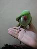     

:	ImageUploadedByمنتديات العاشق1423623037.589110.jpg
:	36
:	66.6 
:	8789