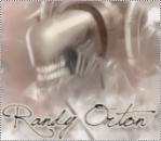   Ahmed_randy orton