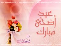   tofy_n