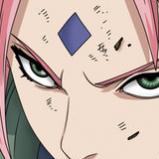   Sakura-