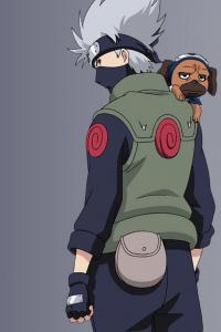   KAKASHI-UAE