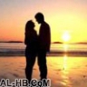   ayman1181
