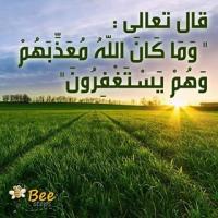   zeezoo501