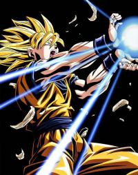   goku502