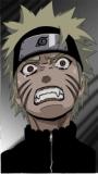   naruto san