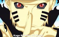   naruto84