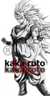   KaKa RoTo
