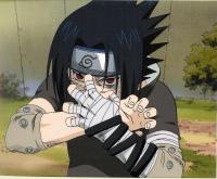   SasoKy