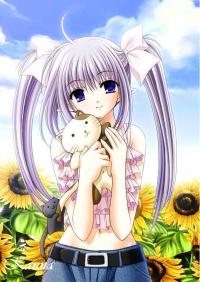  safa.j